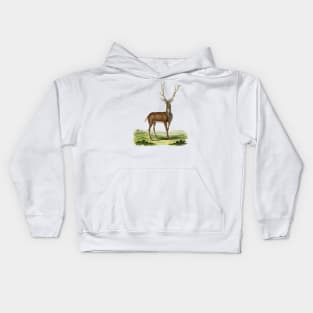 Deer Nature Illustration Kids Hoodie